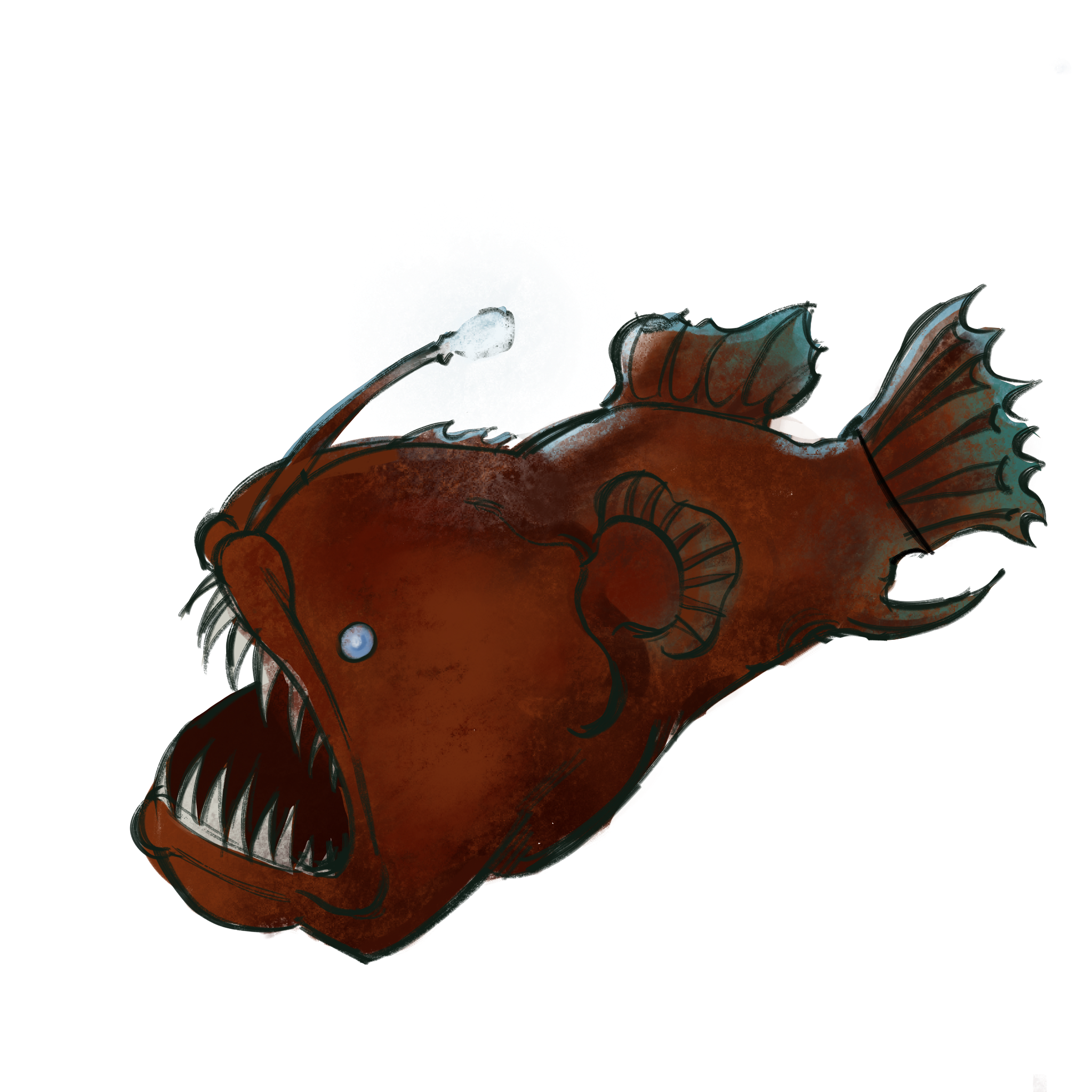 De anglerfish, meer informatie
