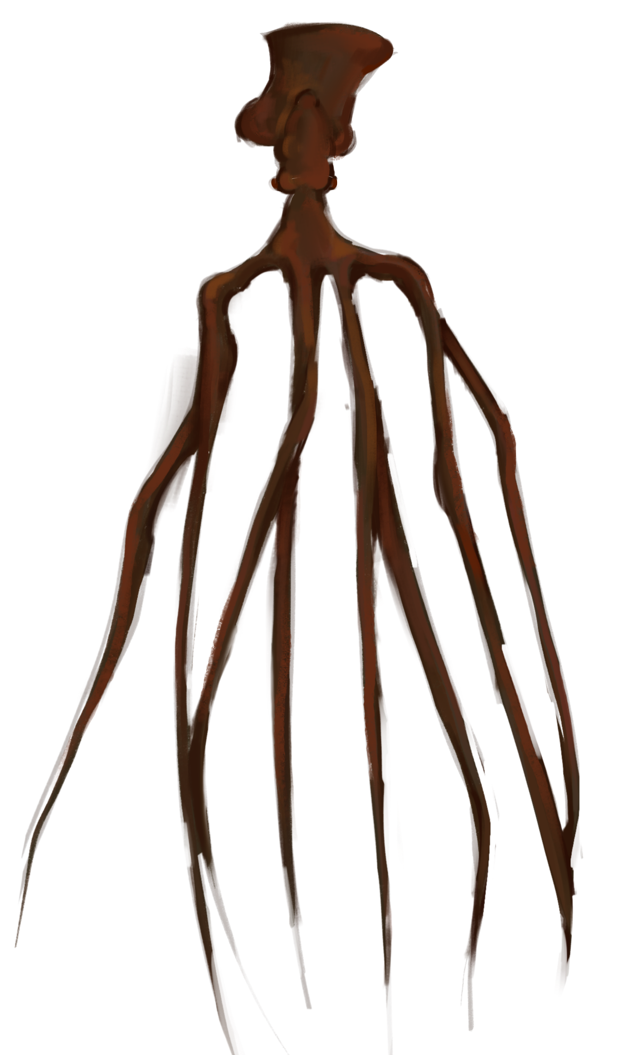 De bigfinsquid, meer informatie