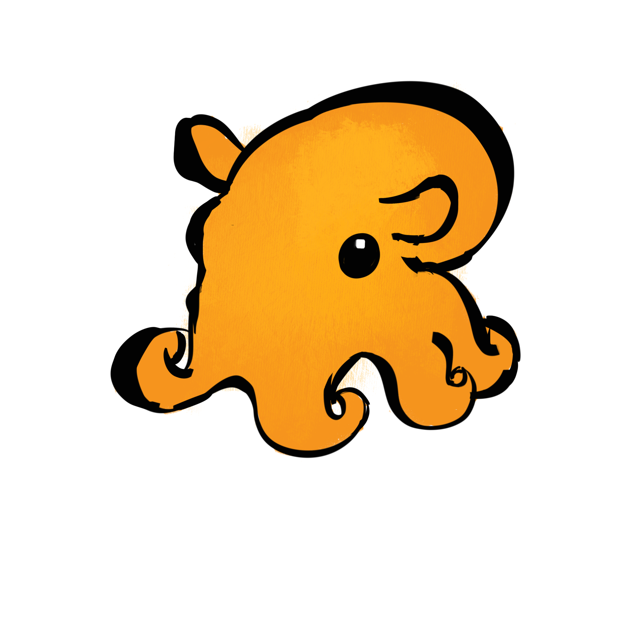 De dumbooctopus, meer informatie