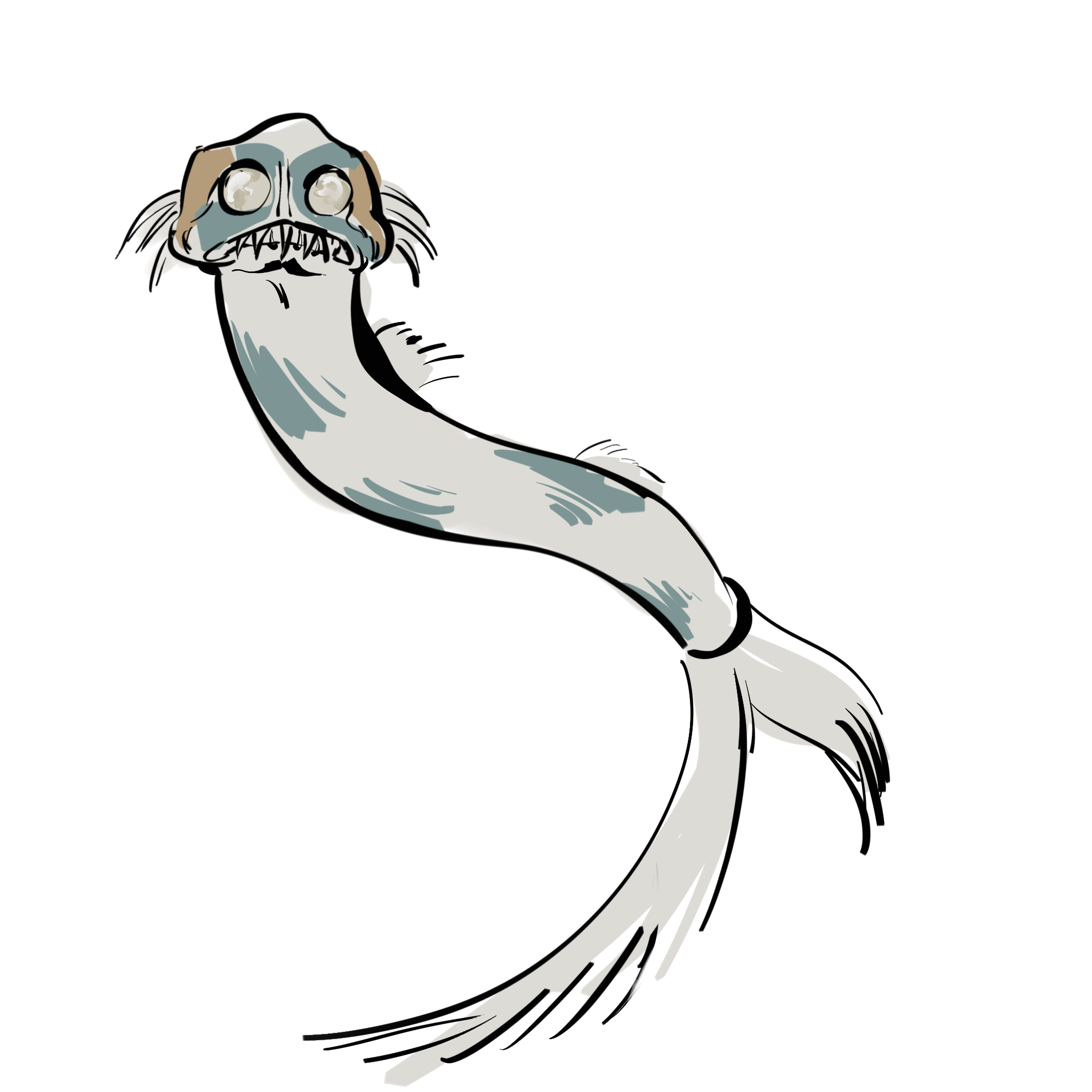 De telescopefish, meer informatie
